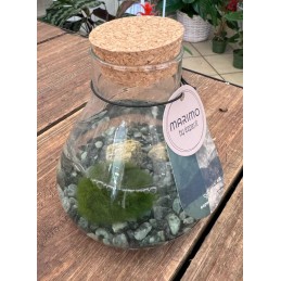 MARIMO LOVE